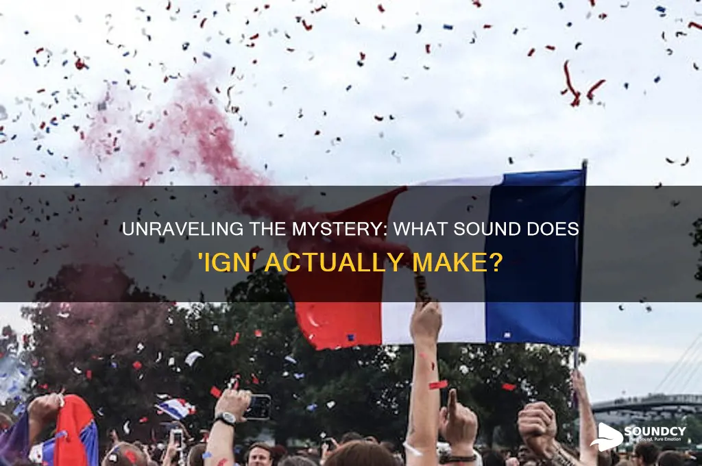 what sound does ign make