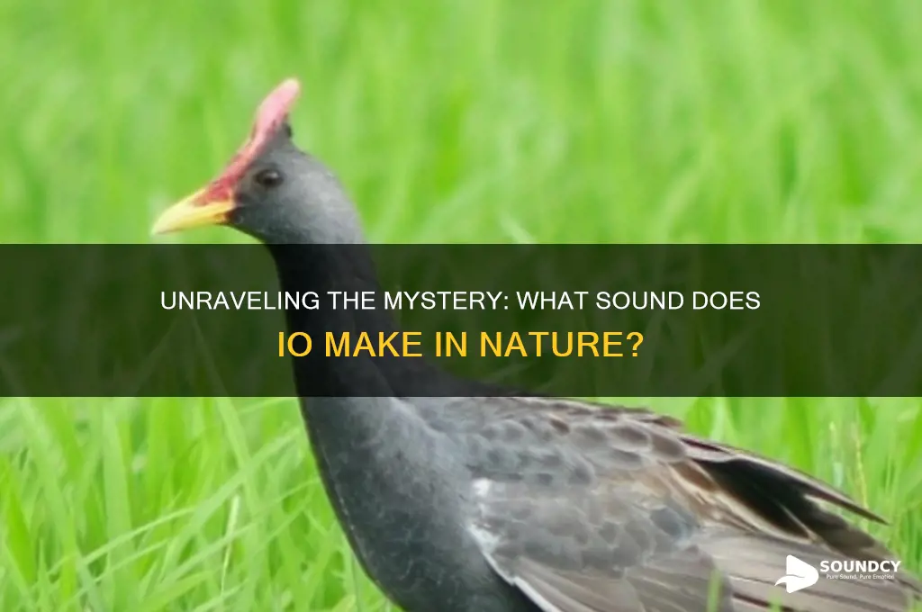 what sound does io make