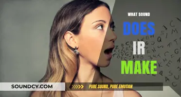 What Sound Does 'Ir' Make? Decoding Its Pronunciation in Words