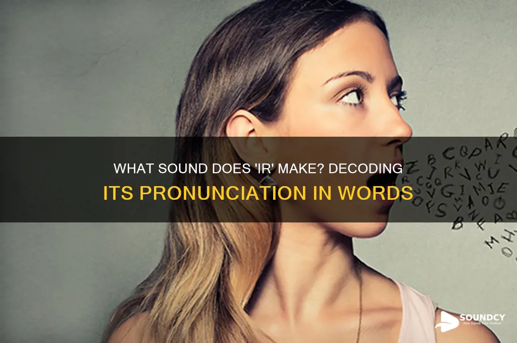what sound does ir make