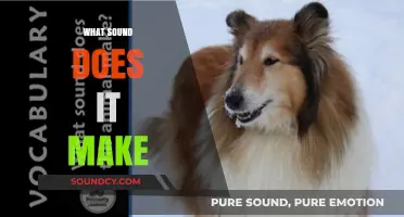 Exploring the Sounds Animals Make: A Comprehensive Guide to Their Noises