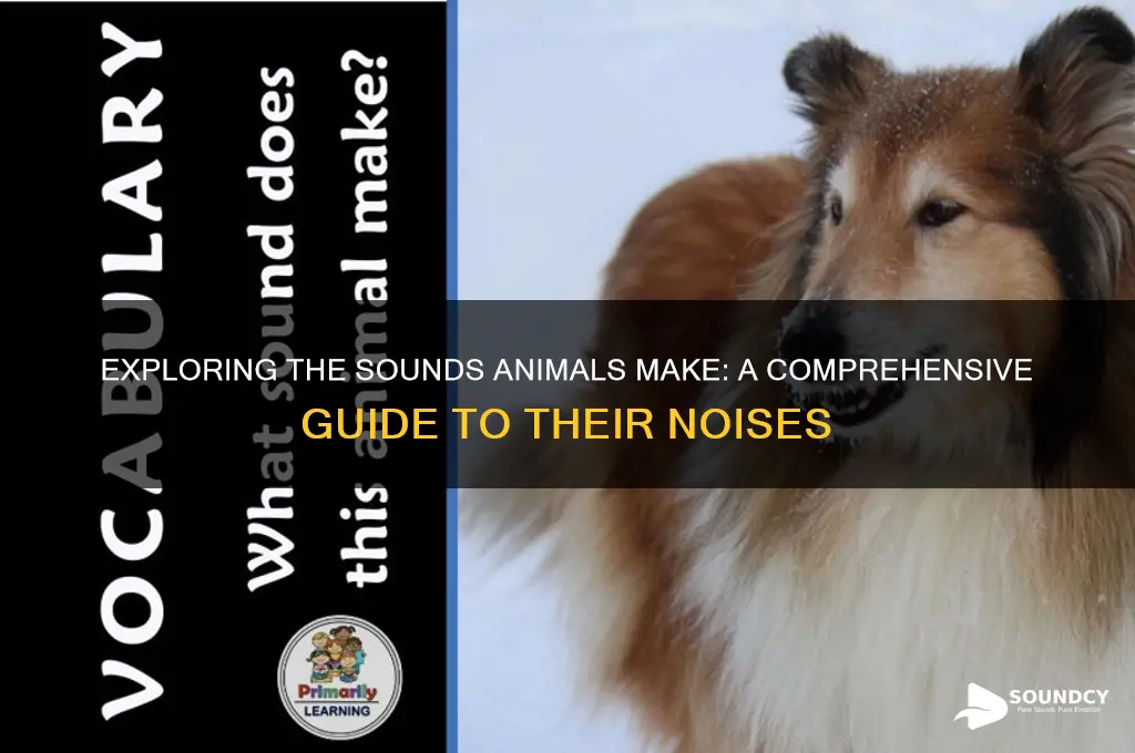 what sound does it make