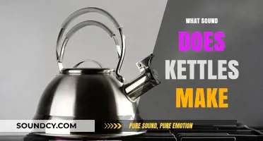 The Whistles and Whispers: Decoding the Sounds of Kettles