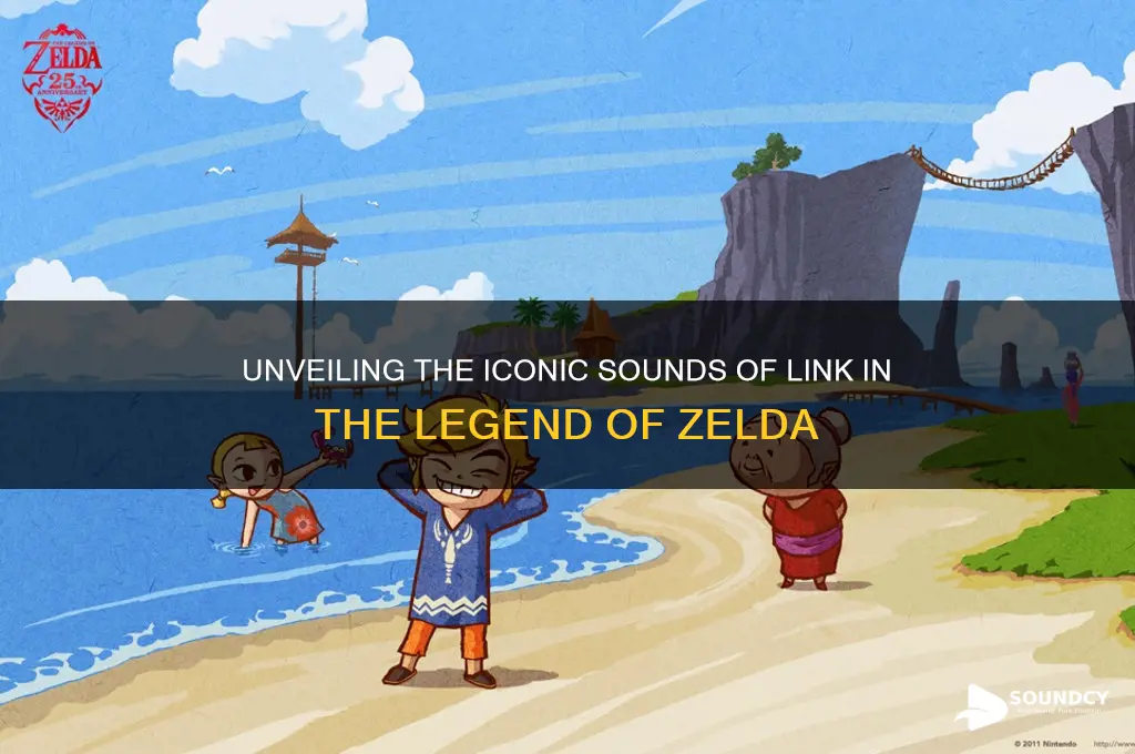 what sound does link make