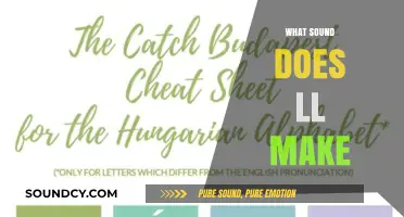 Decoding the 'LL' Sound: Pronunciation, Examples, and Common Mistakes