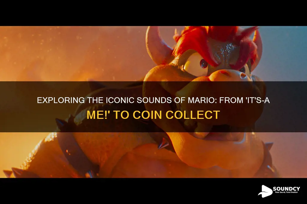 what sound does mario make