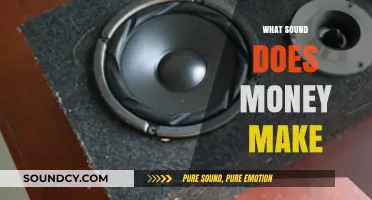 The Audible Whisper of Wealth: What Sound Does Money Make?