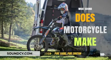 Revving Up: Exploring the Distinctive Sounds of Motorcycles