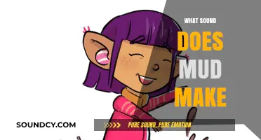 Exploring the Squelching, Squishing Sounds of Mud: What Does It Make?