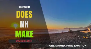 Unraveling the Mystery: What Sound Does 'NH' Make in Words?