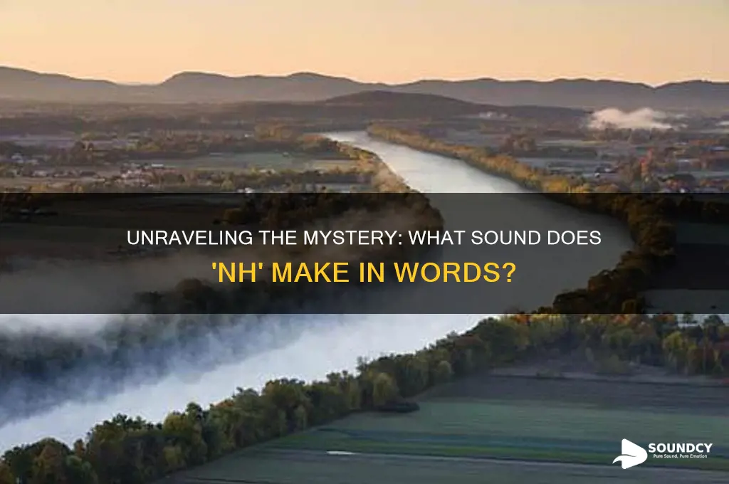 what sound does nh make