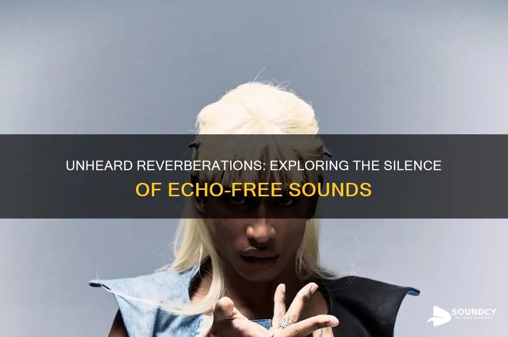 what sound does not echo