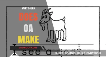 What Sound Does 'OA' Make? Decoding Phonics for Early Readers