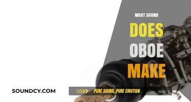 Unveiling the Unique, Penetrating Sound of the Oboe Instrument
