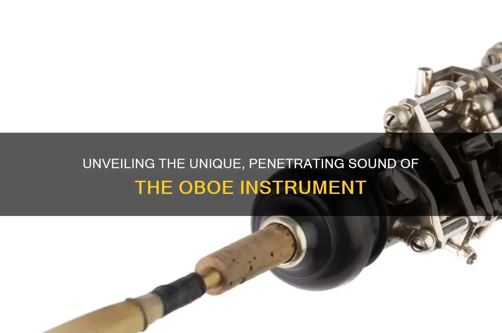 what sound does oboe make