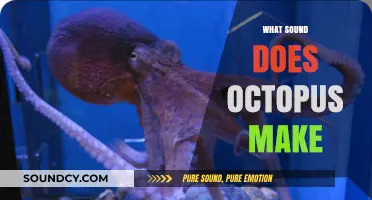 Unveiling the Mystery: What Sound Does an Octopus Make?