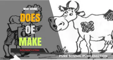Unraveling the Mystery: What Sound Does 'OE' Make in English?