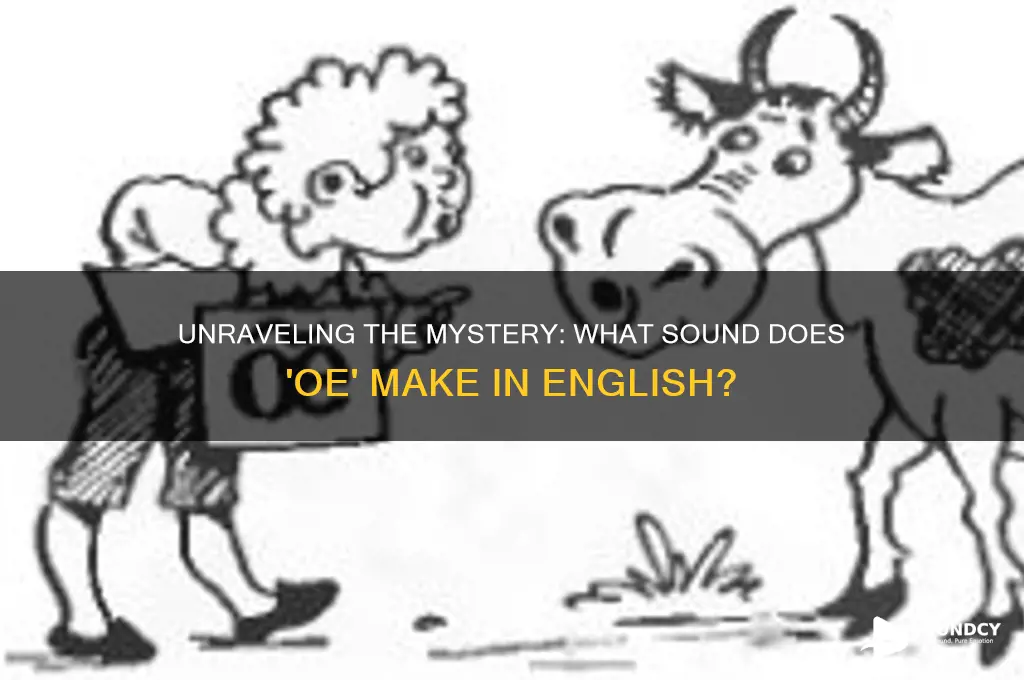 what sound does oe make