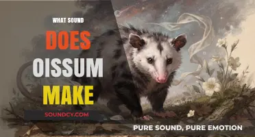 Unraveling the Mystery: What Sound Does Oissum Make?