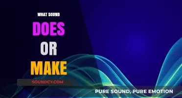 Unraveling the Mystery: What Sound Does an Or Make?