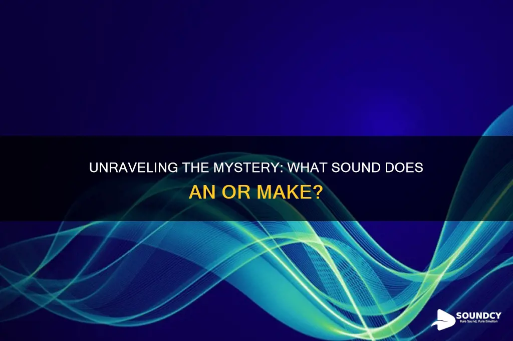 what sound does or make