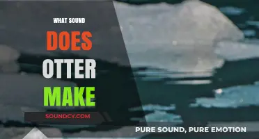 Discover the Unique Vocalizations: What Sound Does an Otter Make?