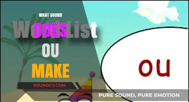 Decoding the 'OU' Sound: Phonetics, Pronunciation, and Common Examples