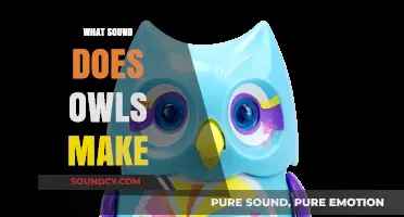 Unveiling the Mysterious Hoots and Calls of Owls in Nature