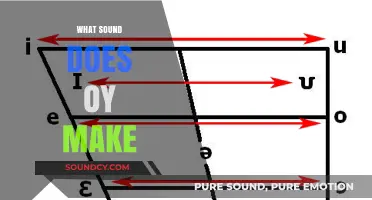 Decoding the 'Oy' Sound: Phonetics, Pronunciation, and Cultural Significance
