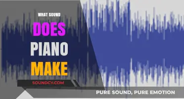 Exploring the Rich, Melodic Sounds of a Piano: What to Expect