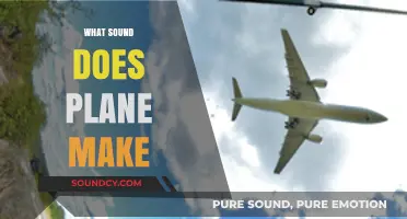 The Roaring Whisper: Decoding the Unique Sounds of Airplanes