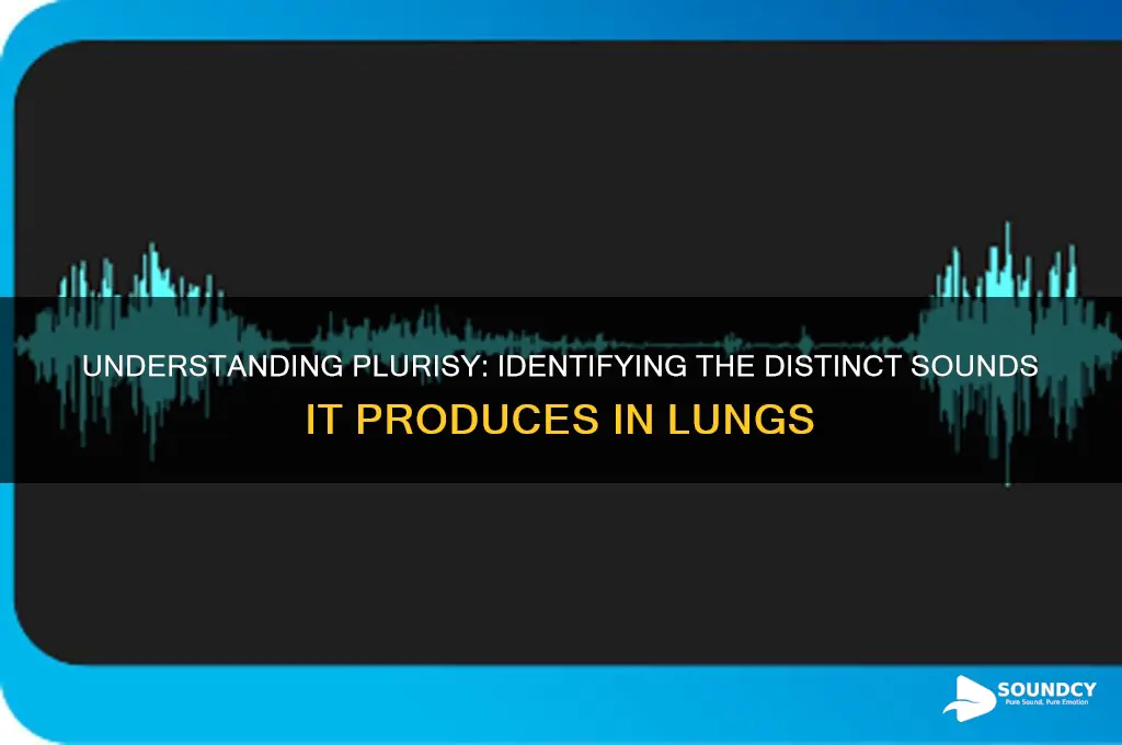what sound does plurisy make