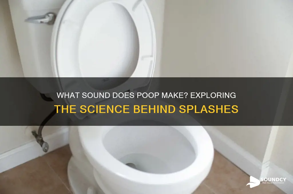 what sound does poop make