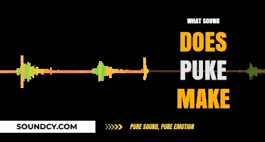 Exploring the Unpleasant Noise: What Sound Does Puke Actually Make?