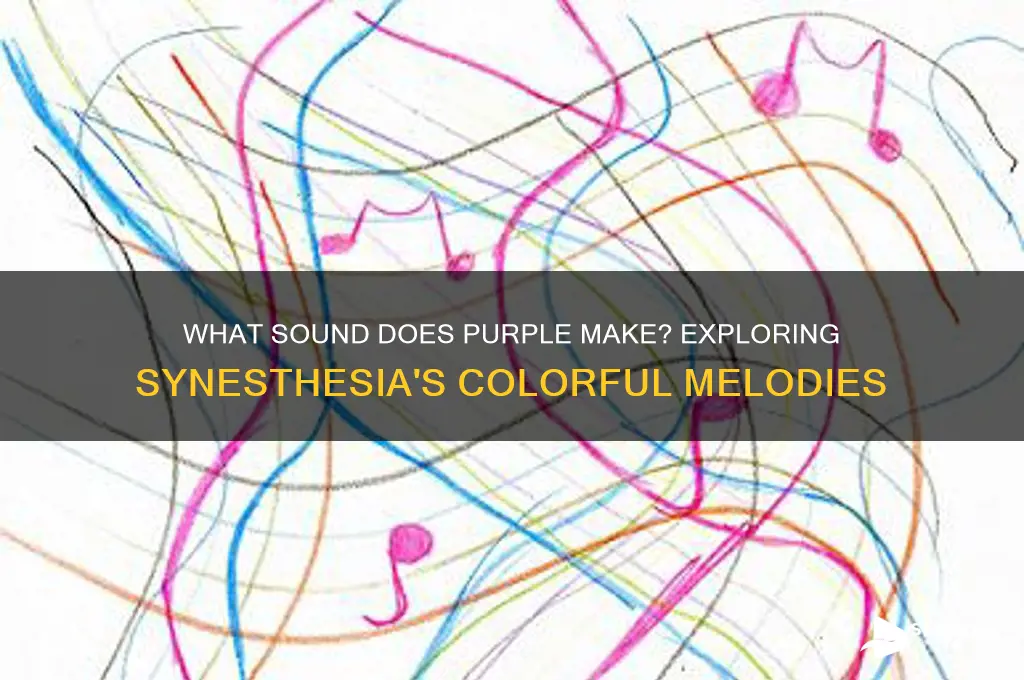 what sound does purple make