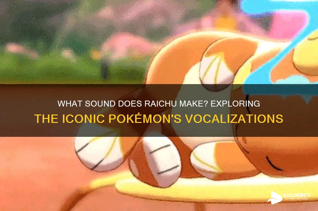what sound does raichu mak