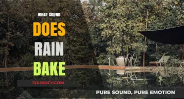 What Sound Does Rain Make? Exploring Nature's Soothing Symphony