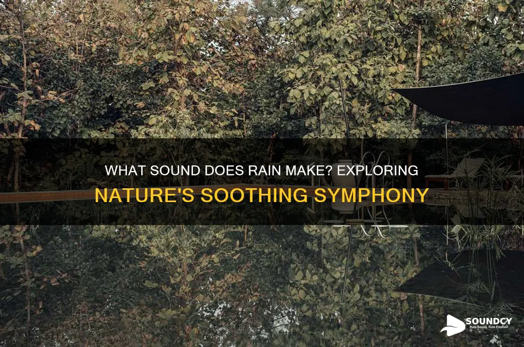 what sound does rain bake