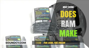 Unveiling the Mystery: What Sound Does RAM Actually Make?