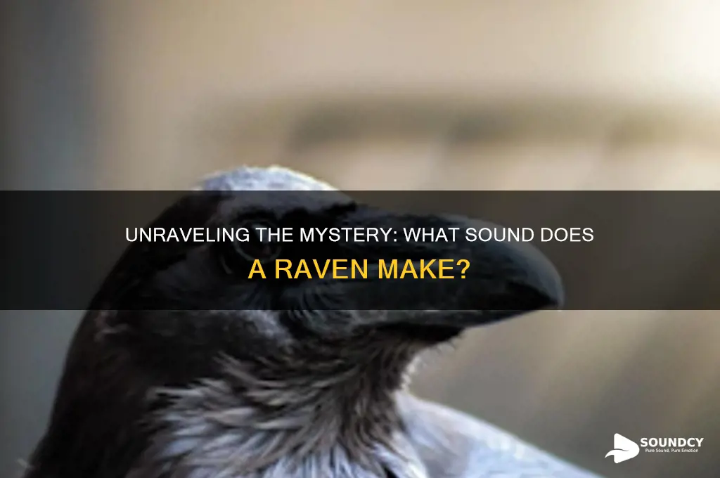 what sound does raven make