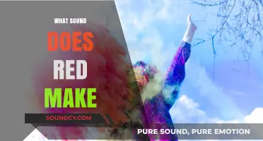 What Sound Does Red Make? Exploring Synesthesia's Colorful Auditory World