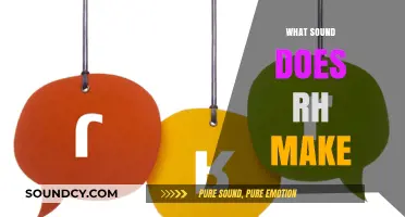 Decoding the 'Rh' Sound: Unraveling Its Unique Pronunciation and Uses
