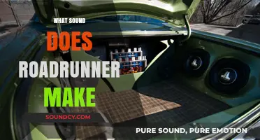 Unveiling the Unique Sound of the Roadrunner: A Detailed Exploration