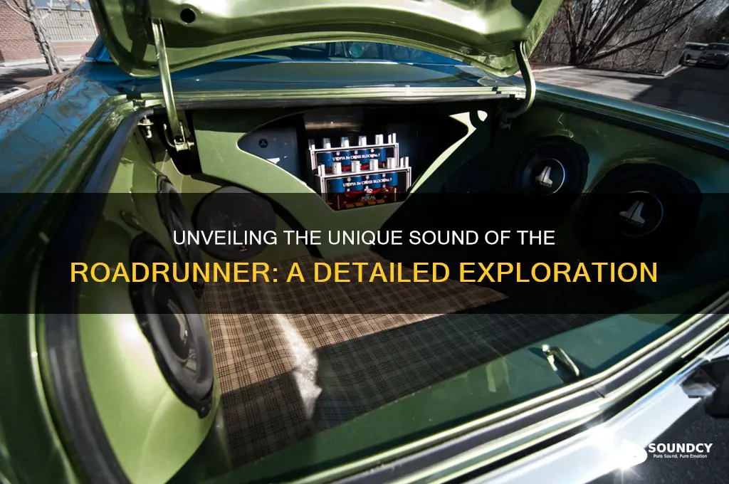what sound does roadrunner make