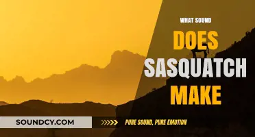 Unveiling the Mystery: What Sound Does Sasquatch Make in the Wild?