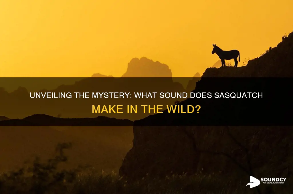 what sound does sasquatch make