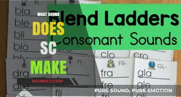 What Sound Does 'Sc' Make? Decoding the Phonetics of Consonant Blends