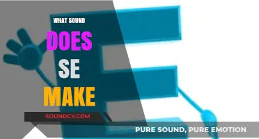 Unraveling the Mystery: What Sound Does 'Se' Make in Language?