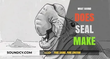 Unveiling the Unique Vocalizations: What Sound Does a Seal Make?