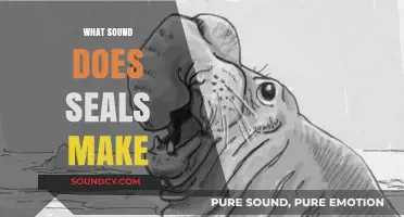 Unveiling the Unique Vocalizations: What Sounds Do Seals Make?